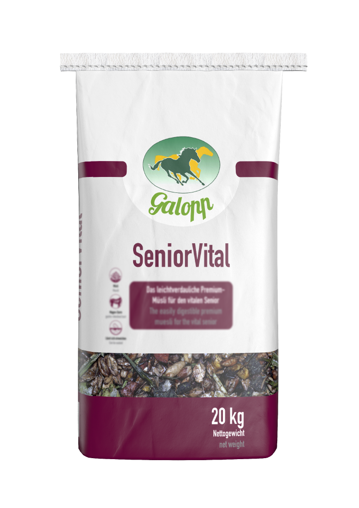 Galopp SeniorVital
